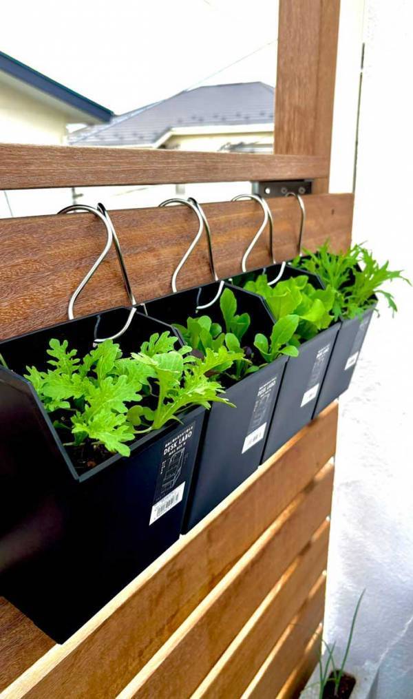 １００均のレターボックス　活用術に「すごい発想」「早速やる」