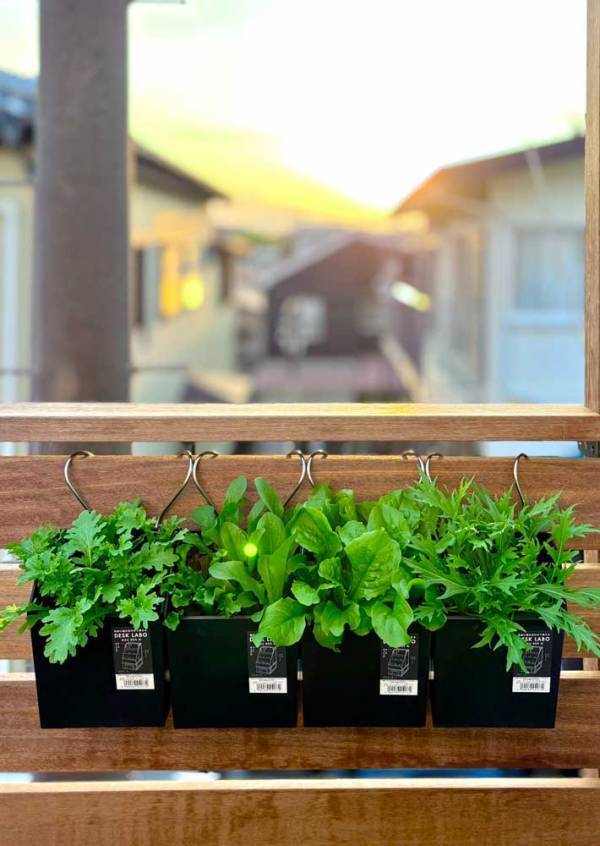 １００均のレターボックス　活用術に「すごい発想」「早速やる」