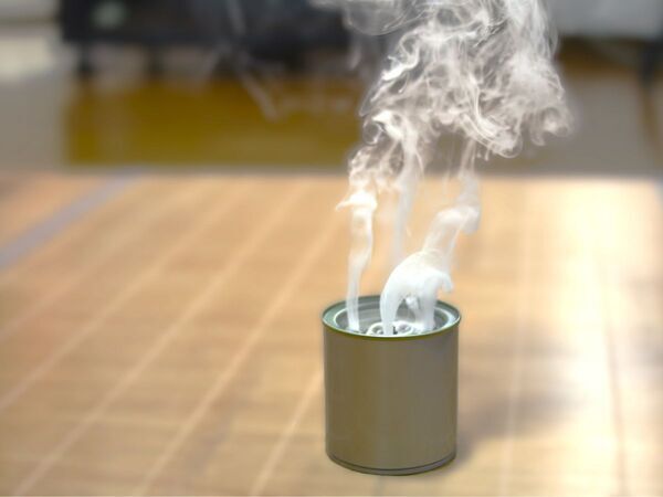 引越し前のバルサンは１回じゃダメ！　正しい害虫対策に「急いでやらないと」