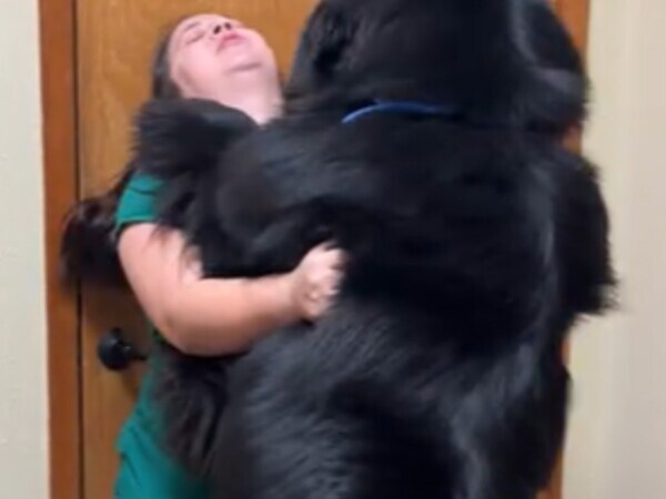 「毛皮のコートを着た人かと思った」　獣医師に抱きつく『子犬』がこちら