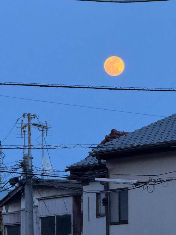 ピンクムーンの前日に…？　千葉県千葉市で撮られた奇跡の瞬間に「これはすごい」
