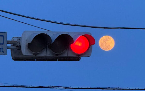 ピンクムーンの前日に…？　千葉県千葉市で撮られた奇跡の瞬間に「これはすごい」