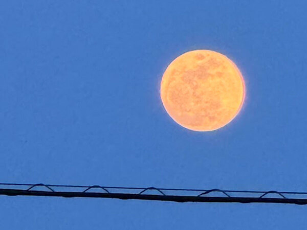 ピンクムーンの前日に…？　千葉県千葉市で撮られた奇跡の瞬間に「これはすごい」