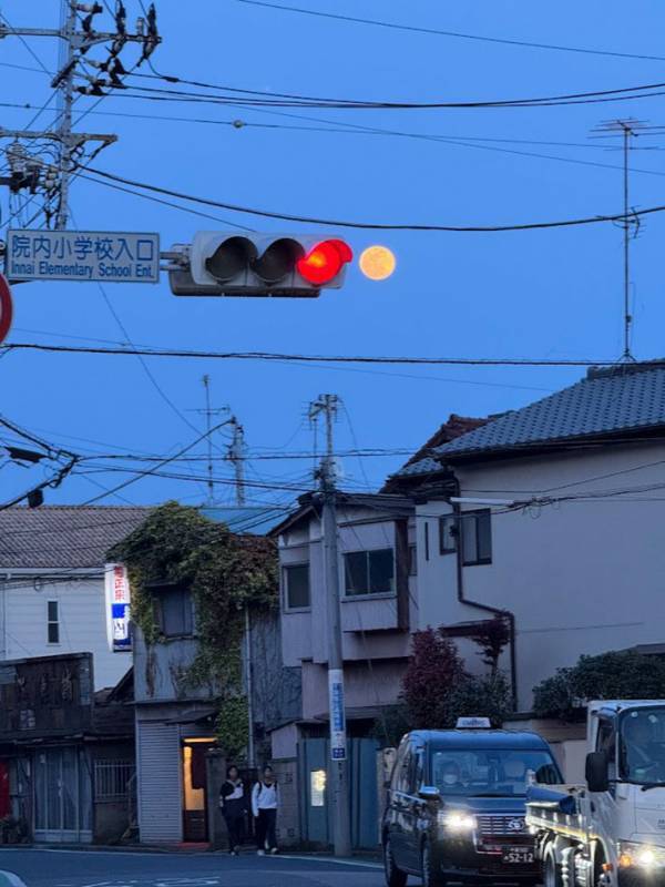 ピンクムーンの前日に…？　千葉県千葉市で撮られた奇跡の瞬間に「これはすごい」