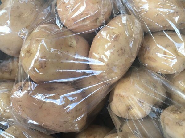 『ジャガイモとチーズ』は間違いなし！　簡単レシピに「これはメイン級」