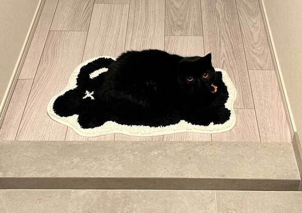 自宅にある猫のイラストのマット　うかつに踏めない理由に「足元注意すぎる」「擬態しすぎやろ」