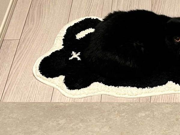 自宅にある猫のイラストのマット　うかつに踏めない理由に「足元注意すぎる」「擬態しすぎやろ」
