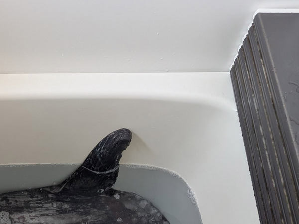 スーパーで『食材』を購入した男性　作ったものに「怖くて泣いちゃうかも」