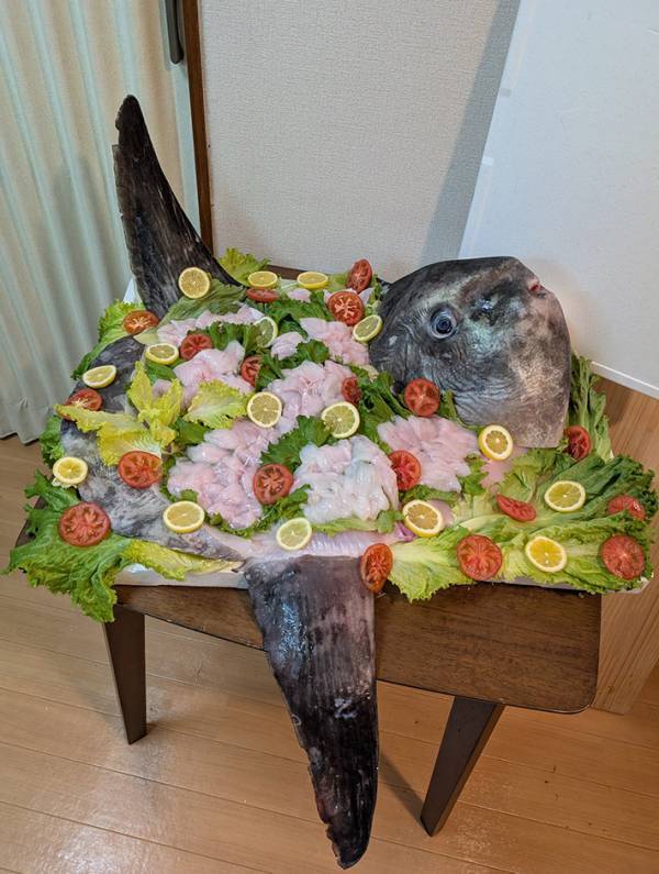 スーパーで『食材』を購入した男性　作ったものに「怖くて泣いちゃうかも」