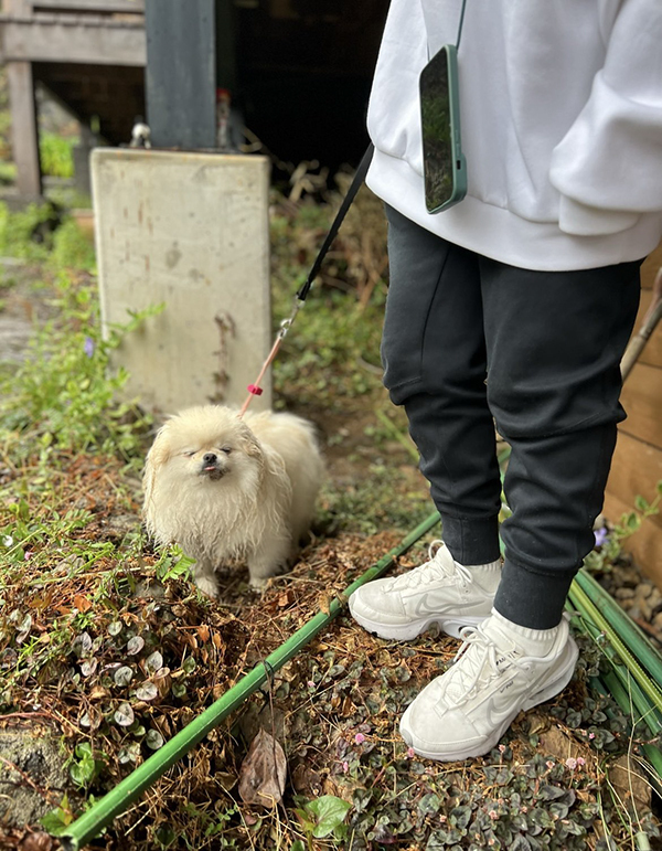 「ワガママを言った結果です」　散歩中の犬を見ると？「いい顔しすぎ」「昭和のアニメかな？」