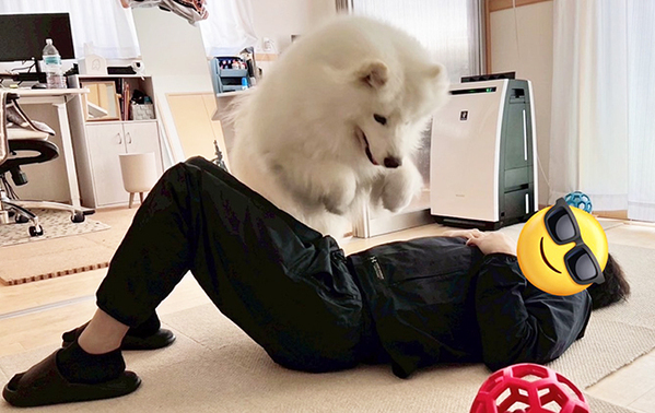 大ジャンプをしたサモエドが、次の瞬間？　「笑った」「勇気と愛情に脱帽です」