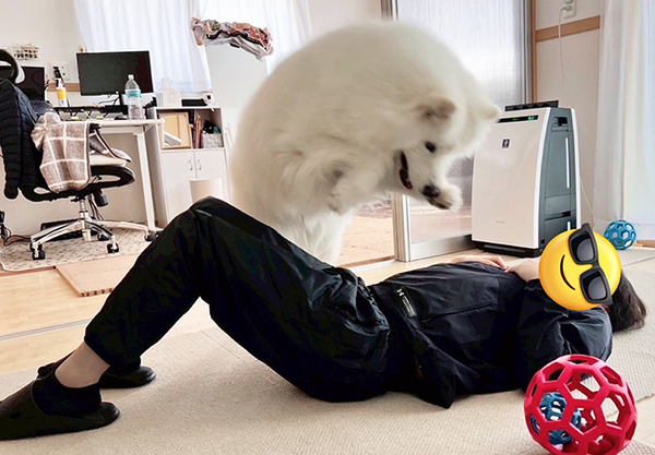 大ジャンプをしたサモエドが、次の瞬間？　「笑った」「勇気と愛情に脱帽です」