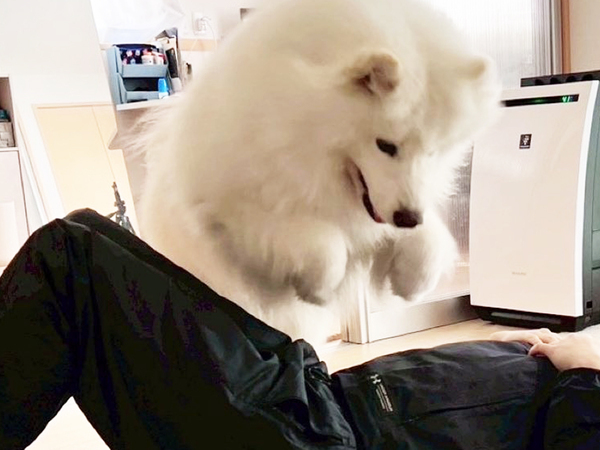 大ジャンプをしたサモエドが、次の瞬間？　「笑った」「勇気と愛情に脱帽です」