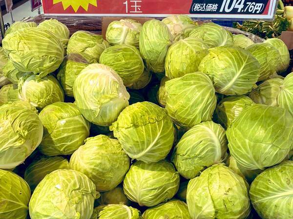 スーパーのキャベツ売り場　女性が二度見したワケとは？