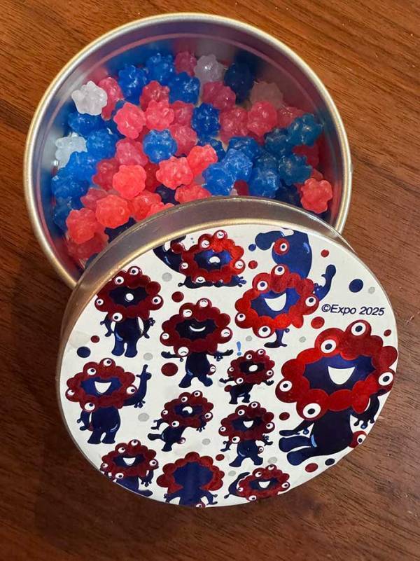 もらったお土産のお菓子　よく見ると…「強烈に欲しい」「こ、これは…」