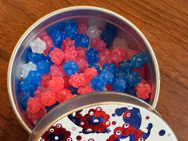 もらったお土産のお菓子　よく見ると…「強烈に欲しい」「こ、これは…」