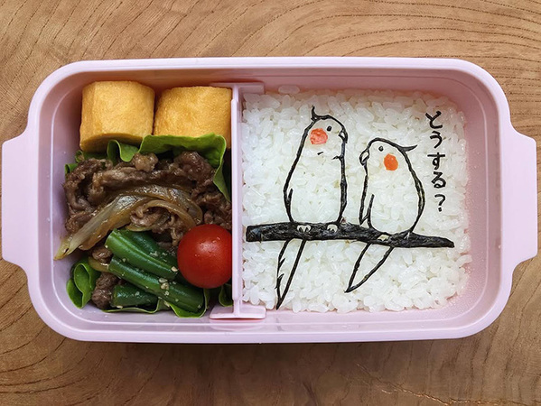 インコを飼うか悩む父が作った弁当　ごはんの上には？「食べるのがもったいない」