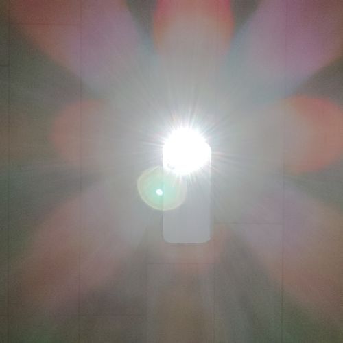 『ペットボトルの水』は飲むだけじゃない！　驚きの使い方に「何これすごい」