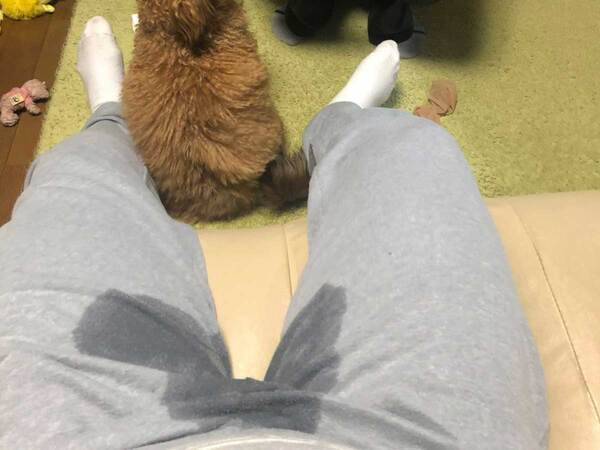 久しぶりに実家の犬に会った女性　母親のツッコミに「笑った」「これは優勝」