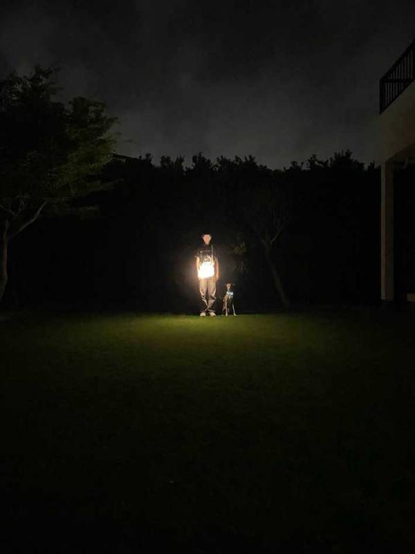 飼い主の作ったものに『１０万人』が称賛！　バッグにランタンを入れて…？