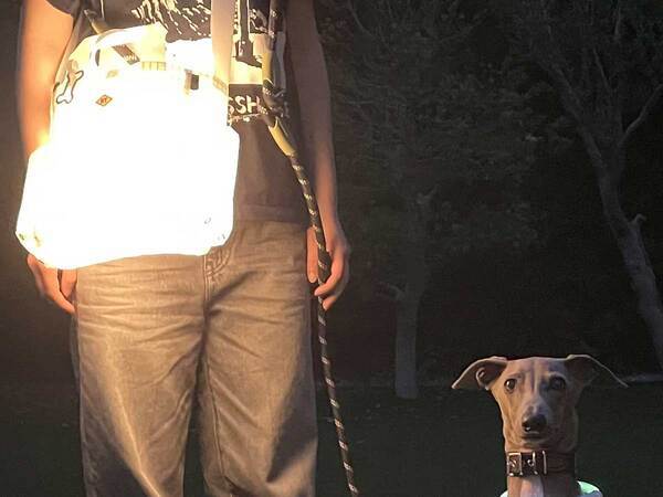 飼い主の作ったものに『１０万人』が称賛！　バッグにランタンを入れて…？