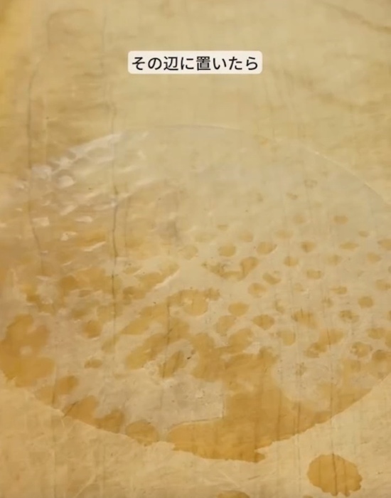 「寿司ではありません」　全く新しい食べ方がすごい！