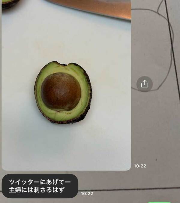 母から送られてきたアボカドの１枚　見た目に「笑った」「許せねぇよ」