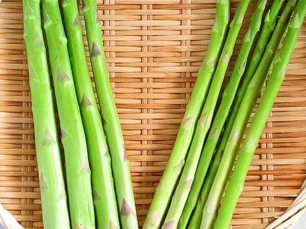 新鮮で甘いのは、右か左どっち？　JAが教える『正解』は…