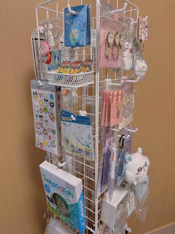 「ちょっと『ダイソー』行ってくるわ」　真似する人が続出、推し活グッズ収納方法とは？