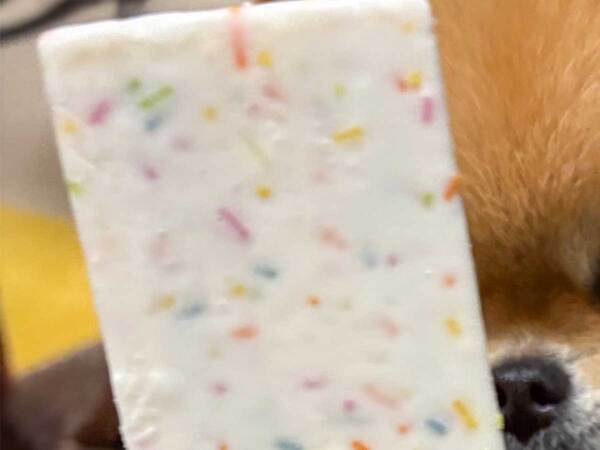 新作のアイスをパシャリ　写り込んでいたのは？　「笑った」「圧が強い」