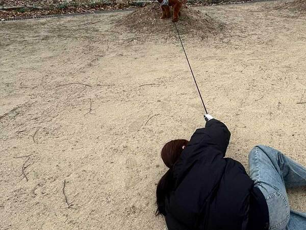 犬に引っ張られて転倒　リードの先は大型犬ではなく…「そうしてそうなった」「ヤムチャかな」