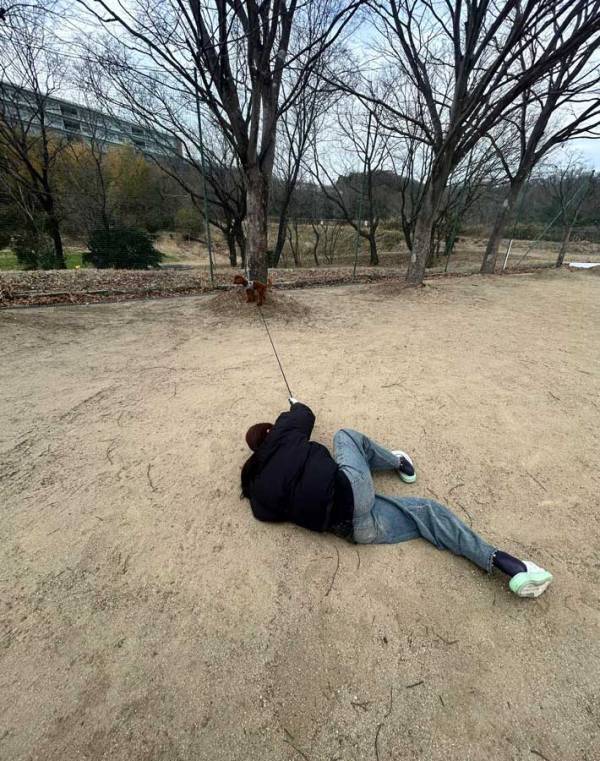 犬に引っ張られて転倒　リードの先は大型犬ではなく…「そうしてそうなった」「ヤムチャかな」