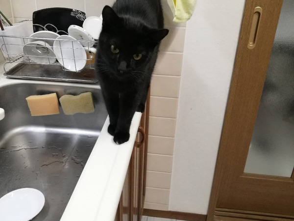 「かわいそうなのに吹き出しちゃった」　留守番中の２枚に「コントかな」「ギャグ漫画で見た」