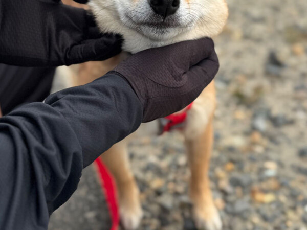 「勝手すぎて笑った」「かわいすぎる」　愛犬に「なでて」と催促されるも…？