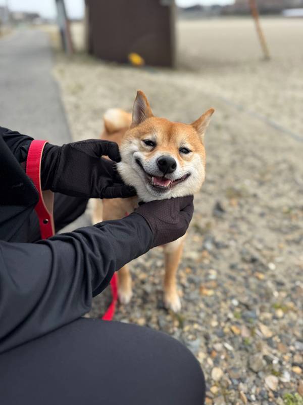「勝手すぎて笑った」「かわいすぎる」　愛犬に「なでて」と催促されるも…？