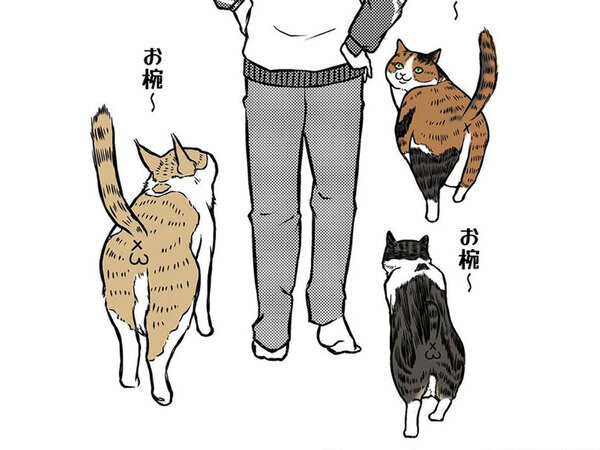 愛猫に「アイシテル」のサイン！　飼い主が挑戦したコミュニケーション法に、共感の声