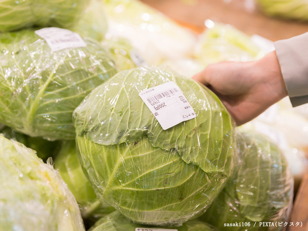 おいしいキャベツは、重い？軽い？　JA全農の解説に「逆だと思ってた…」