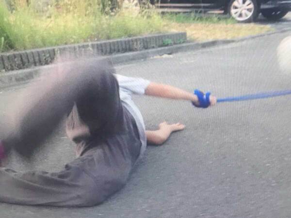 「ごめん、爆笑」「もはや芸術の域」　散歩中の『事故』に３８万いいね！