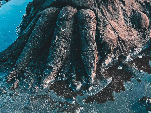 ６人がかりで作った作品　３０分で砂山をアレンジした結果に「一瞬、合成かと思った」