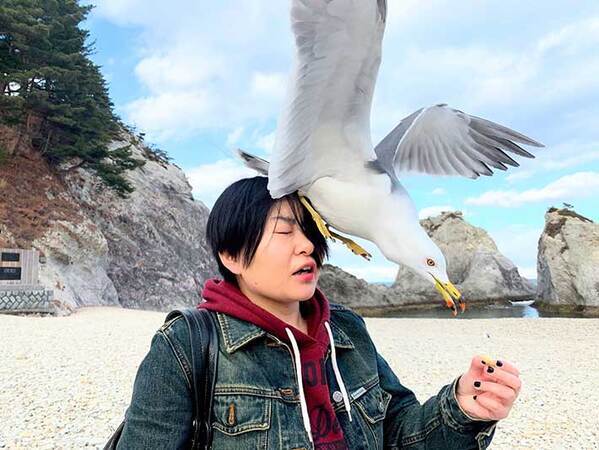 ウミネコに餌をあげたら…　奇跡の１枚に「笑った」「いい思い出になる」