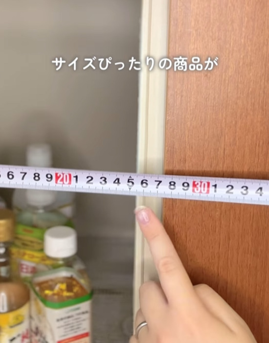 １００均ワイヤーネットを『２枚』用意して…　完成したモノに「すごい」「絶対つくる」