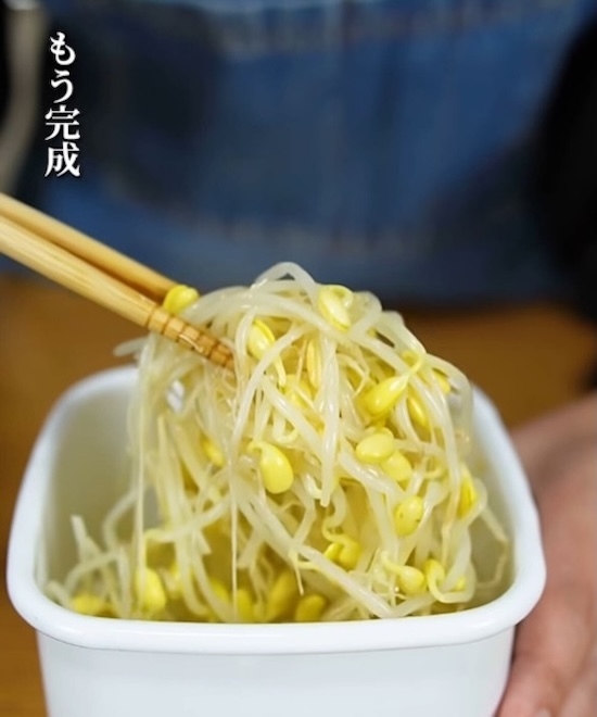 朝出かける前にパパッと作り置き！　絶品モヤシ料理に「作ってみたい」「嬉しい」