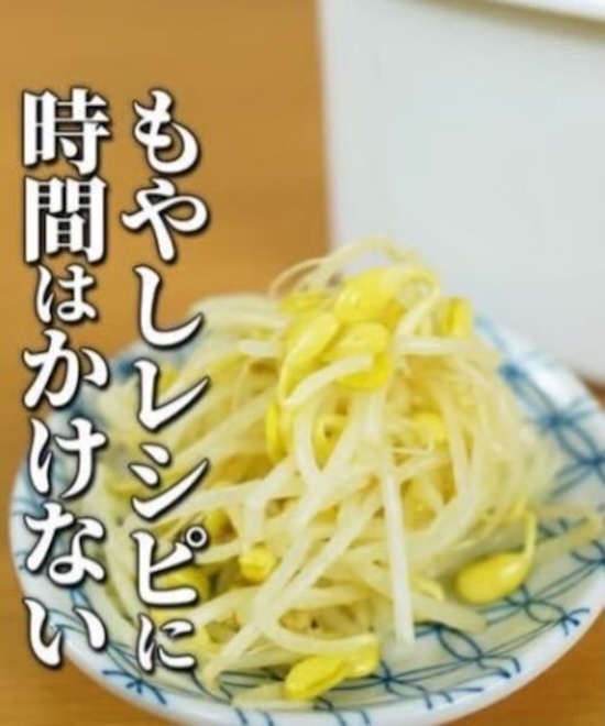 朝出かける前にパパッと作り置き！　絶品モヤシ料理に「作ってみたい」「嬉しい」