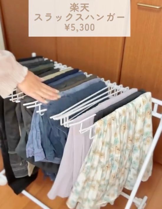 「衣替えはもうしません」　クローゼットで使える便利アイテムに「早速買います」