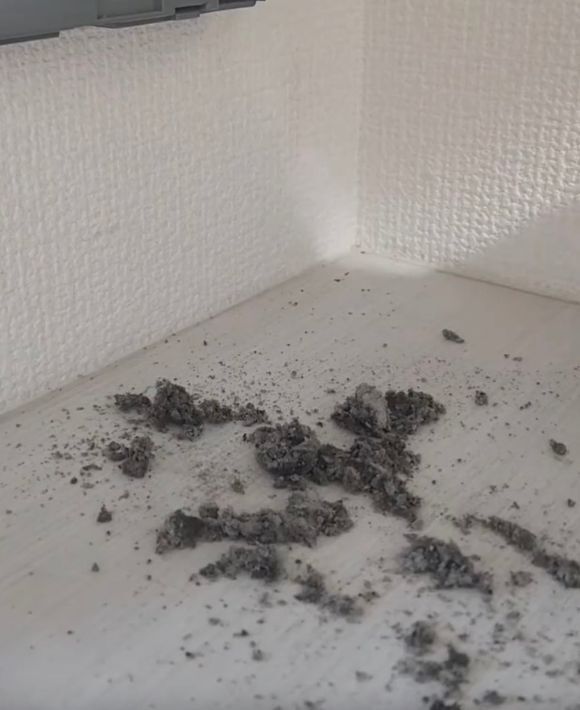 トイレの換気扇、放置してない？　たまった汚れをリセットする掃除術に「今すぐやる」