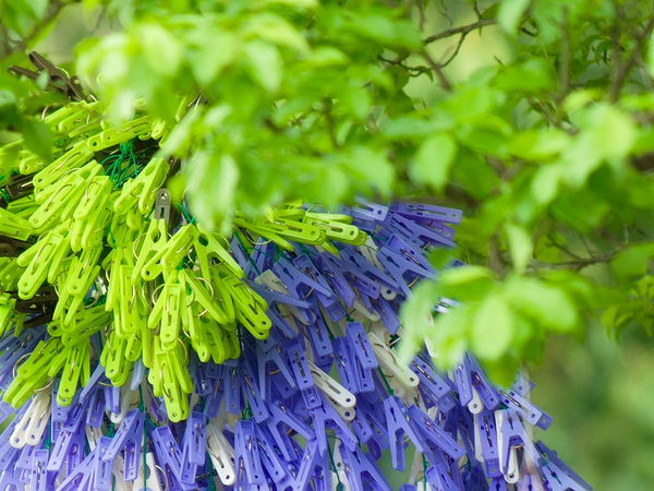 洗濯ばさみを約７００個使って…　完成形に「本物かと思いました」「すごっ！」