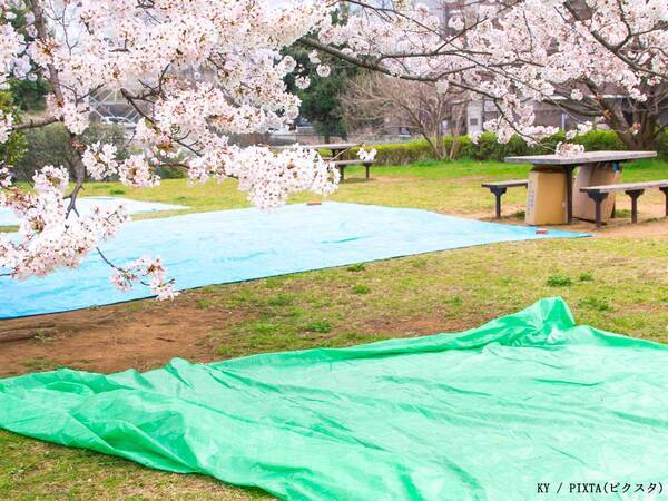 レジャーシートはこうたたむ！　自衛隊が教える方法に「目からウロコ」「勉強になります」