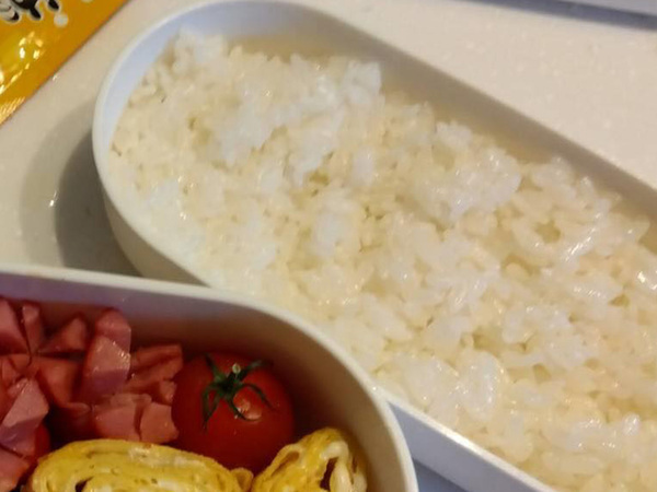 高１娘が朝５時半に起きて作った弁当　仕上がりに「素晴らしい」「レベルが高い」