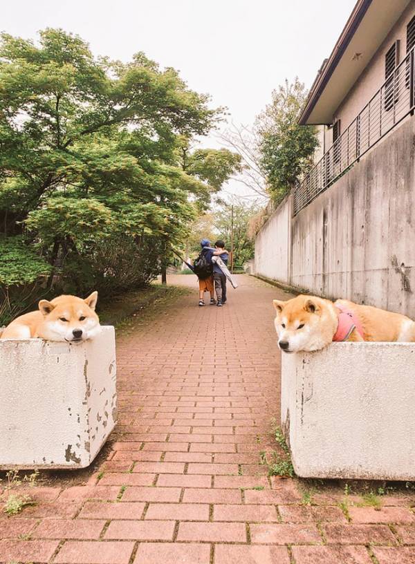 「フォトコンテストがあったら受賞しそうな傑作」　少年２人の背後を見ると？