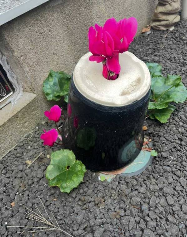 自宅の植木鉢　ひっくり返ったまま１年後に…「泣いてしもうた」「勇気がもらえる」